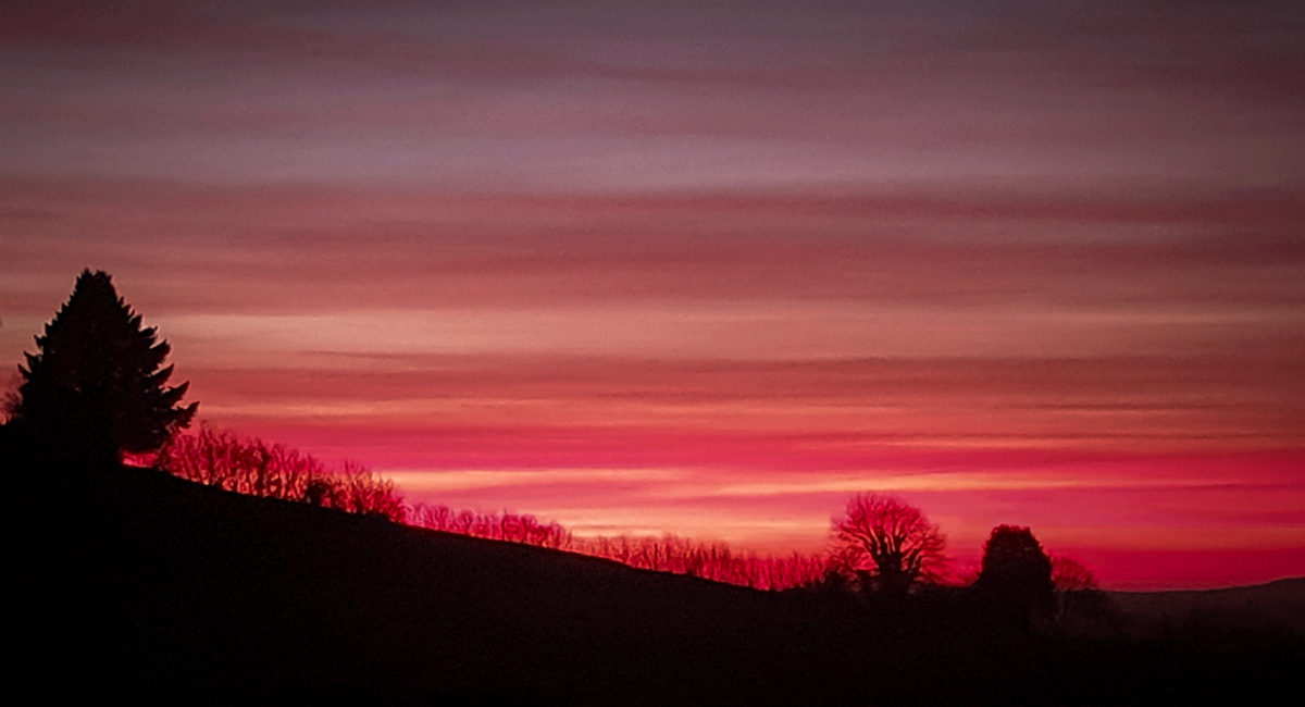 Photography - Perche - Sunset December - Evy Cohen